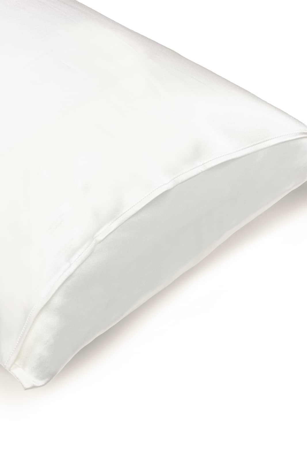 19 Momme 100% Pure Mulberry Silk Pillowcase - Exceptional Value - Good Housekeeping Quality Tested Home>Bedding>Pillowcase Fishers Finery