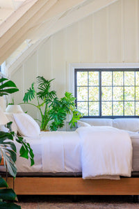 Signature 100% Certified Egyptian Cotton 4pc Sheet Set with Gift Box Home>Bedding>Sheets Fishers Finery