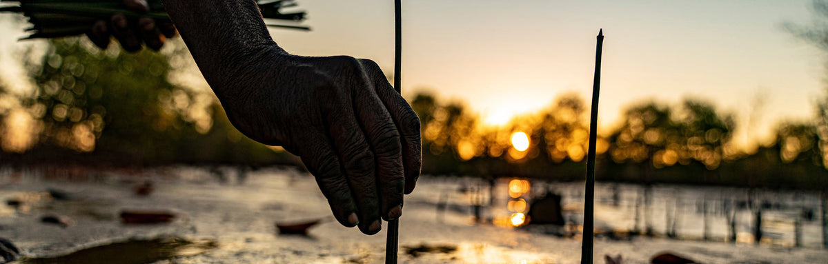 Tree Planting With Online Shopping That Matters