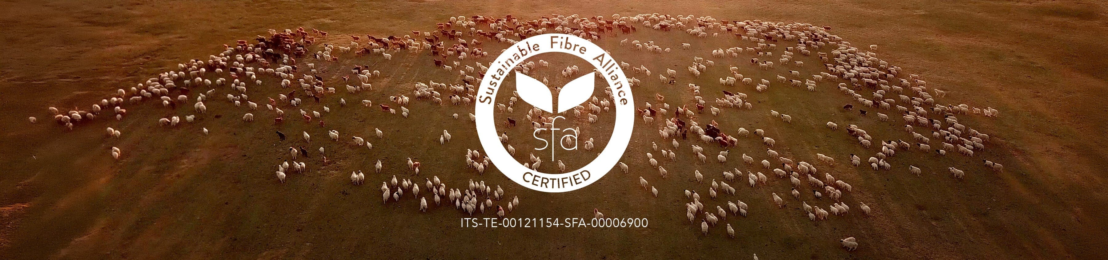 SFA Certified Collection