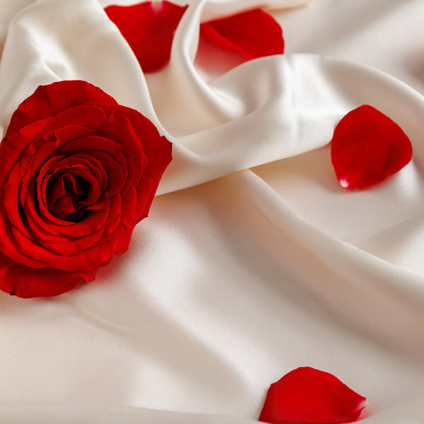 Red rose and rose petals on flowing white silk pillowcase