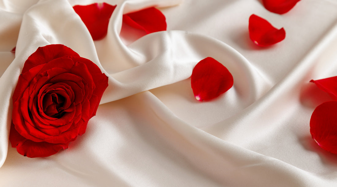 Red rose with scattered petals resting on smooth white pillowcase.