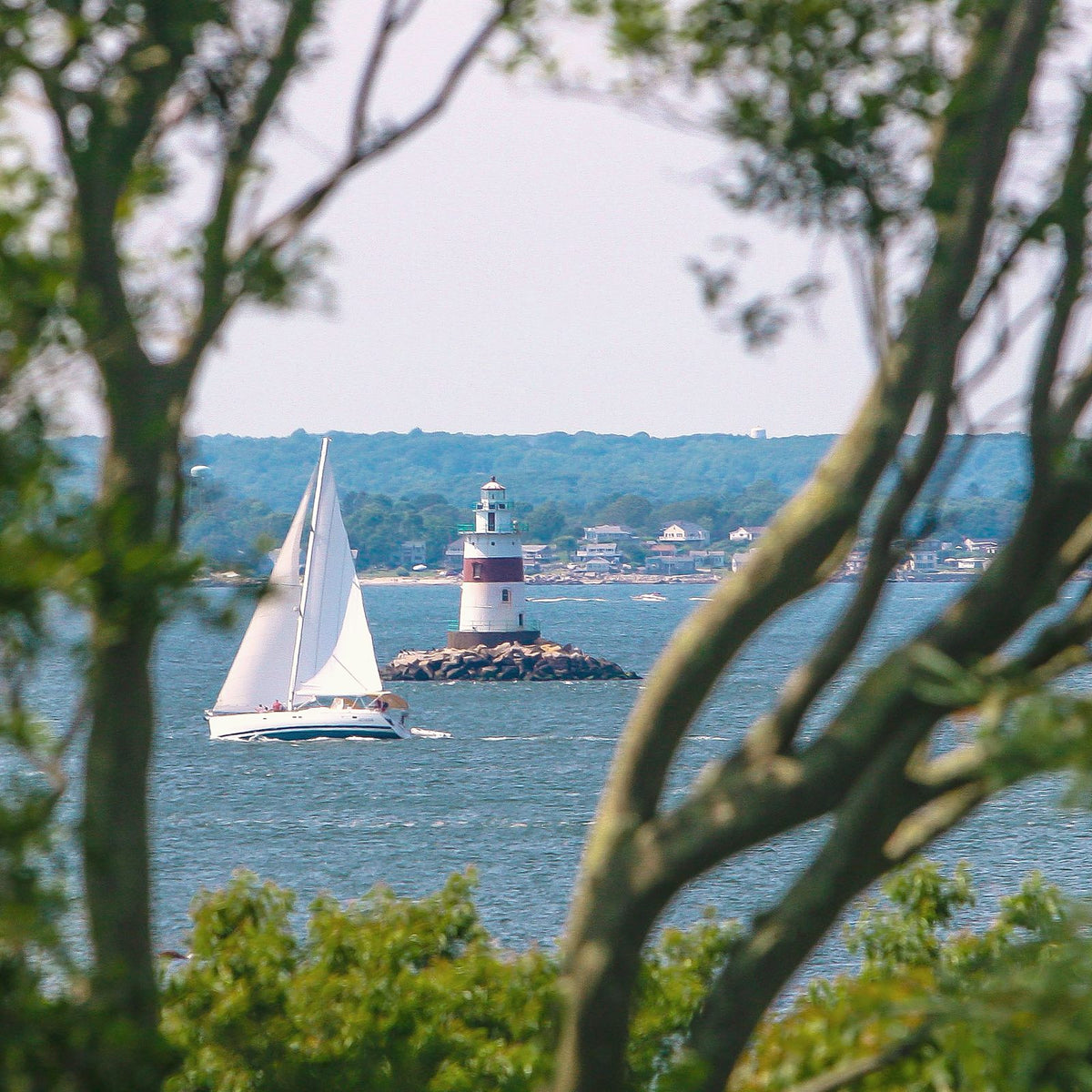 A sailboat passing a lighthouse on calm water, framed by trees.