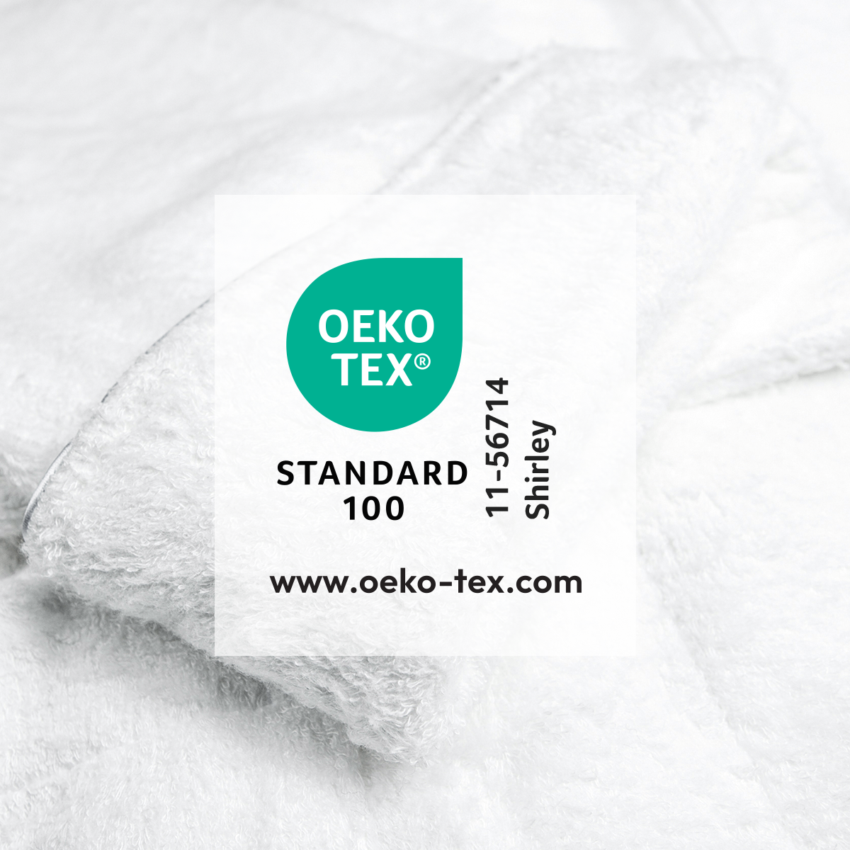 Oeko Tex Certification Consultant at Rs 50000/certificate in