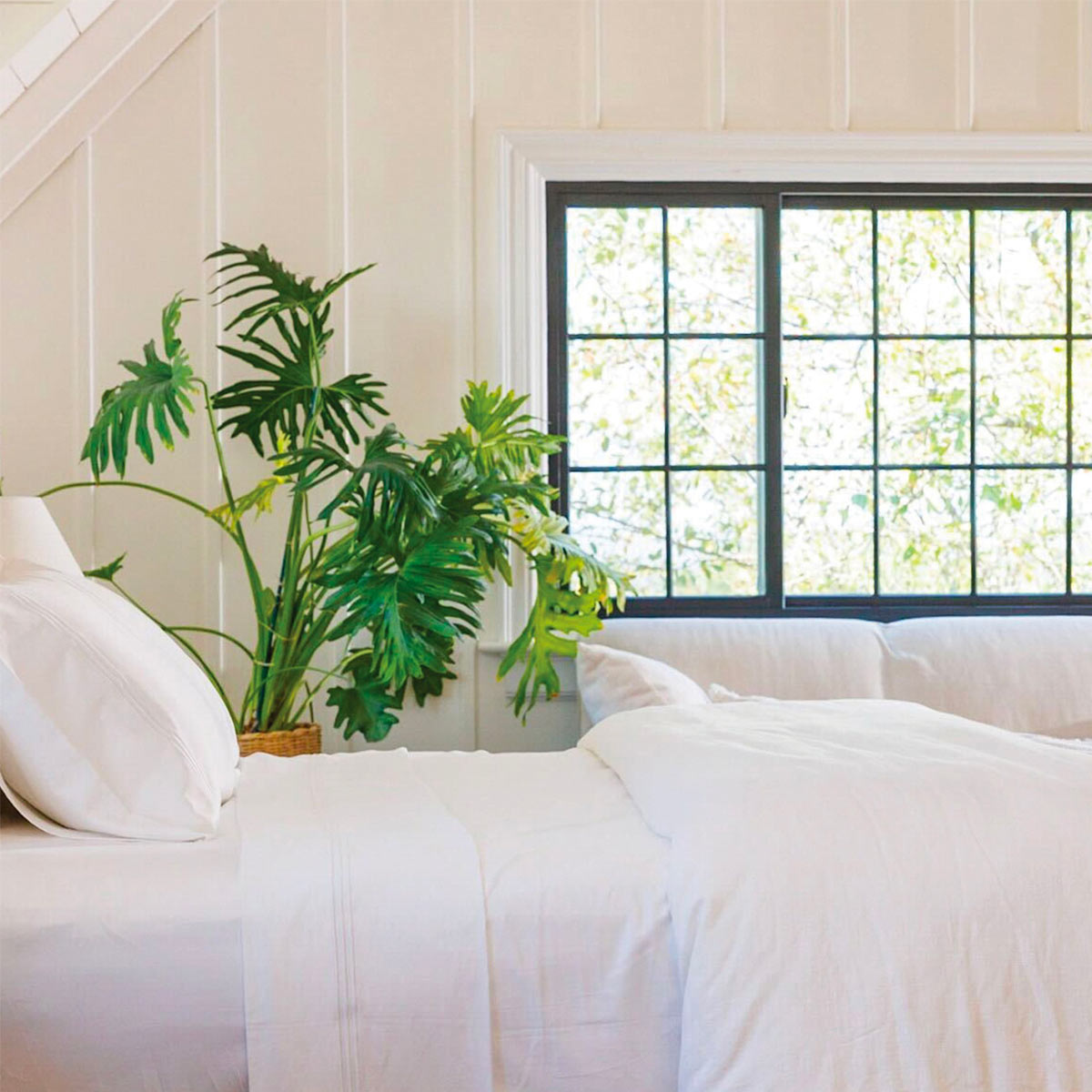 Egyptian cotton sheets neatly made on a bed beside a window with natural light.